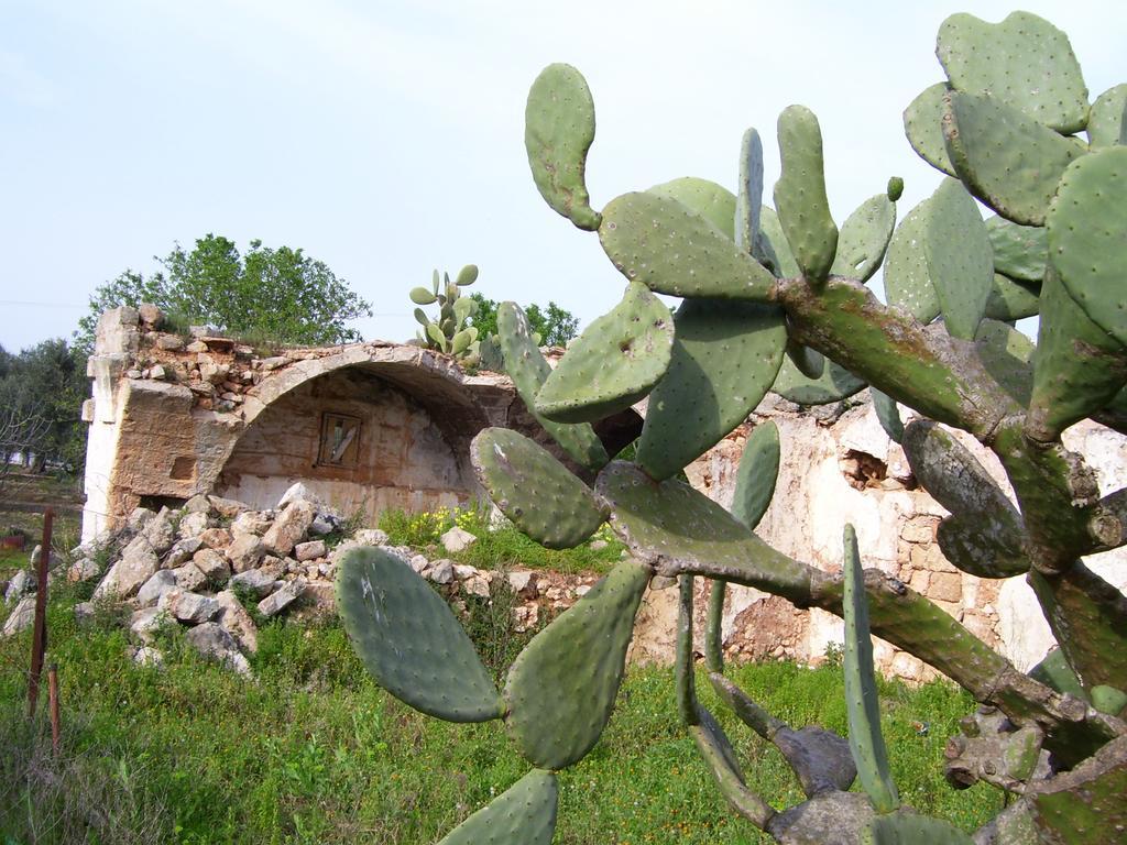 Bed & Breakfast Ghetta